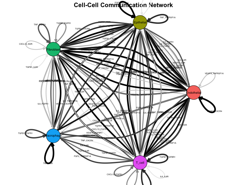 Example network plot showing cell-cell communication topology.