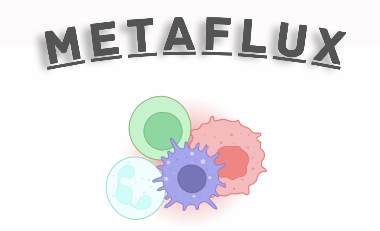 METAFLUX logo