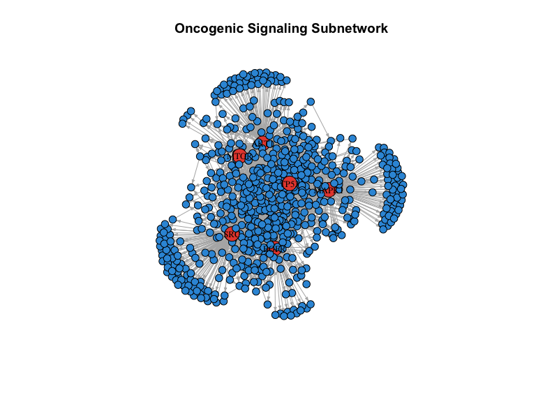 Subnetwork around key oncogenic signaling proteins showing first-order neighbors.