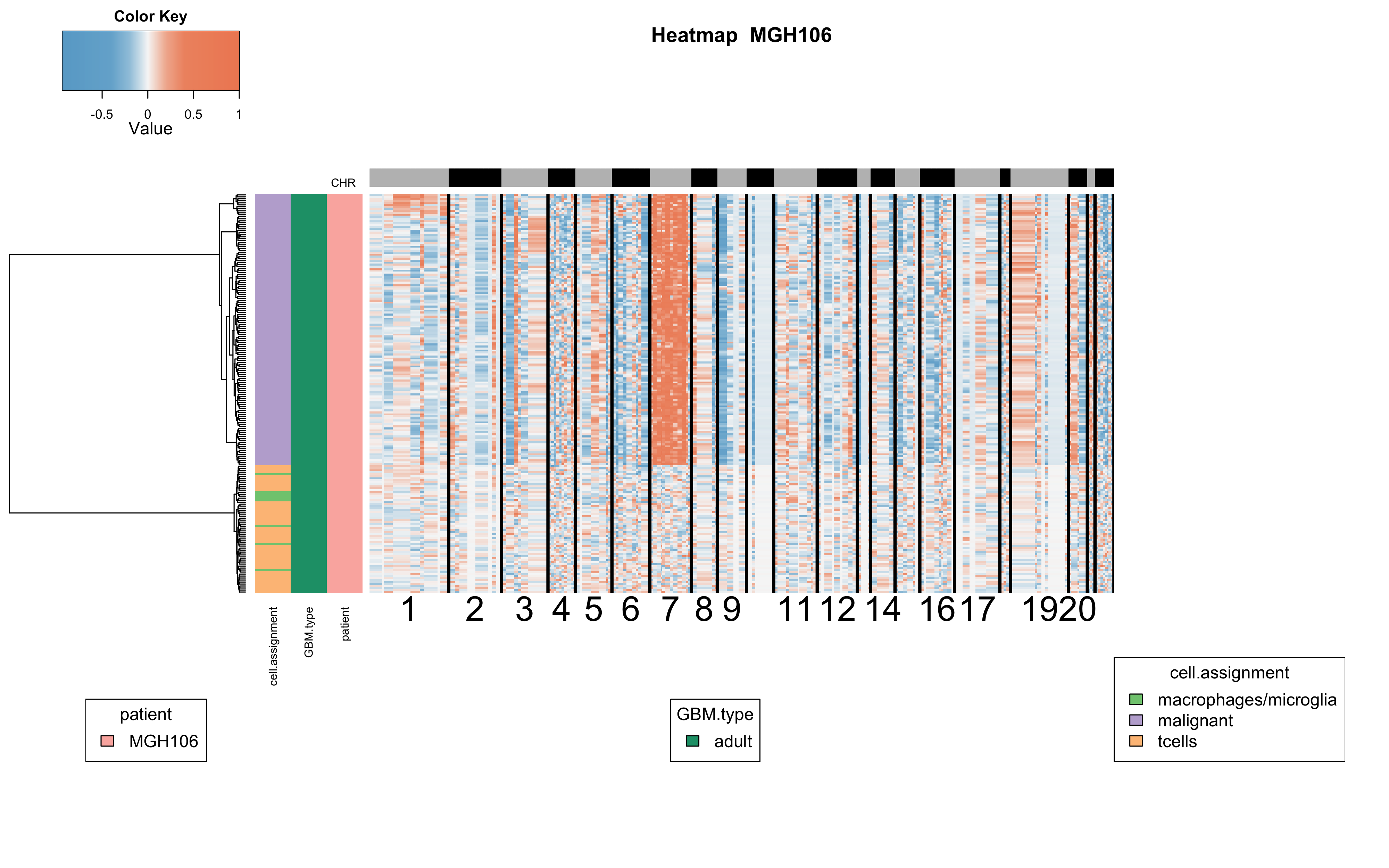 Annotated CNA Heatmap
