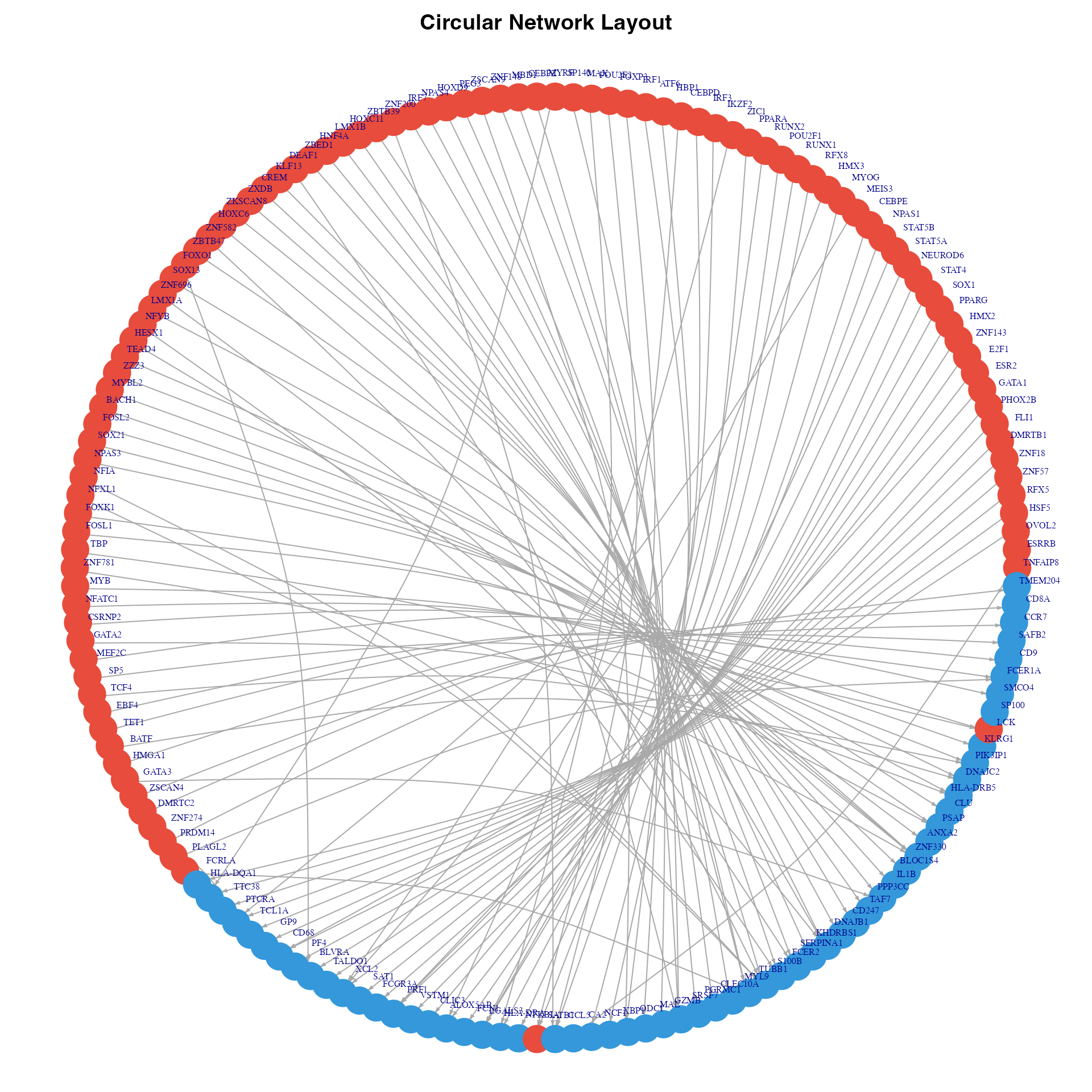 Circular network visualization