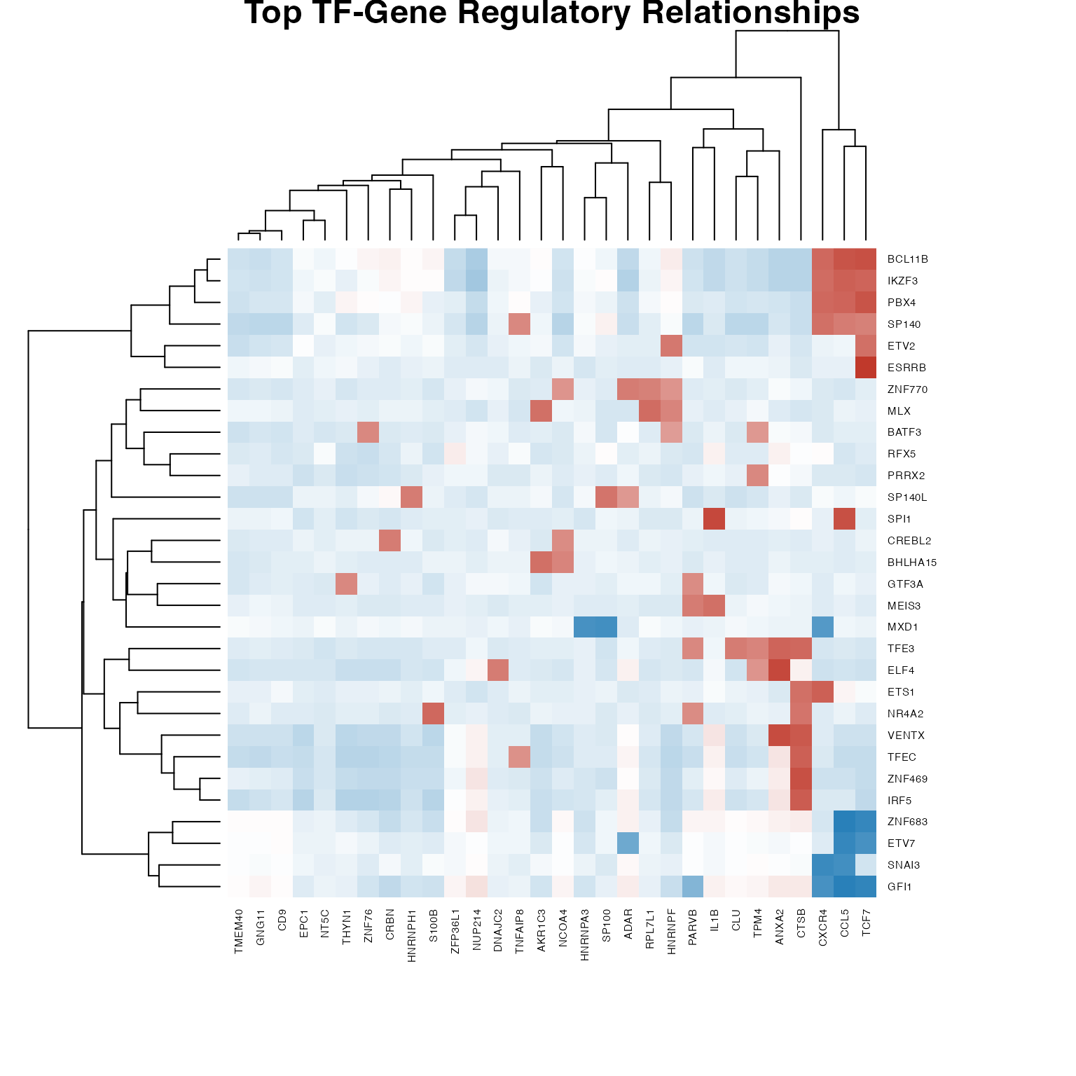 Regulatory network heatmap (top TFs and genes)