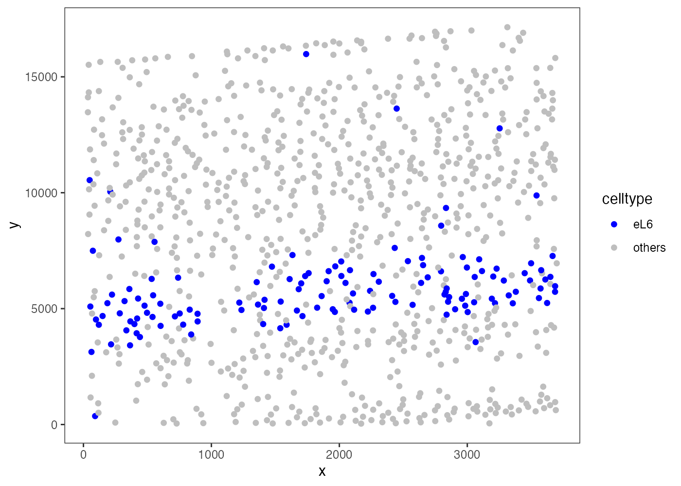 Spatial distribution of eL6 cells