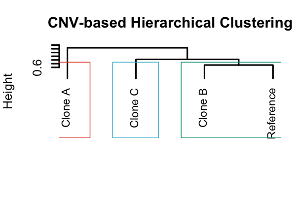 Hierarchical clustering dendrogram based on CNV profiles, showing the relationship between different clones.