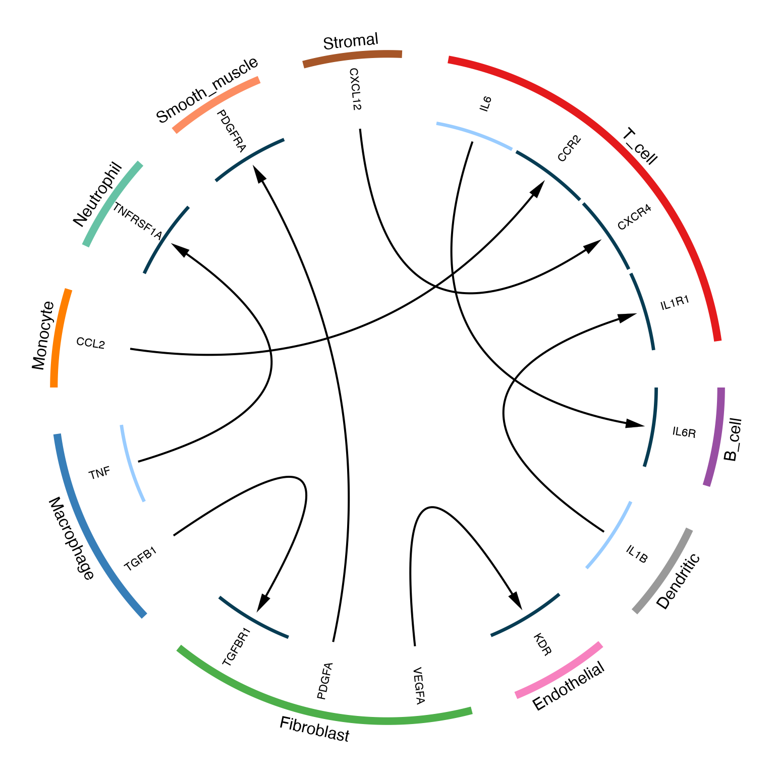 Basic circos plot showing ligand-receptor interactions between cell types
