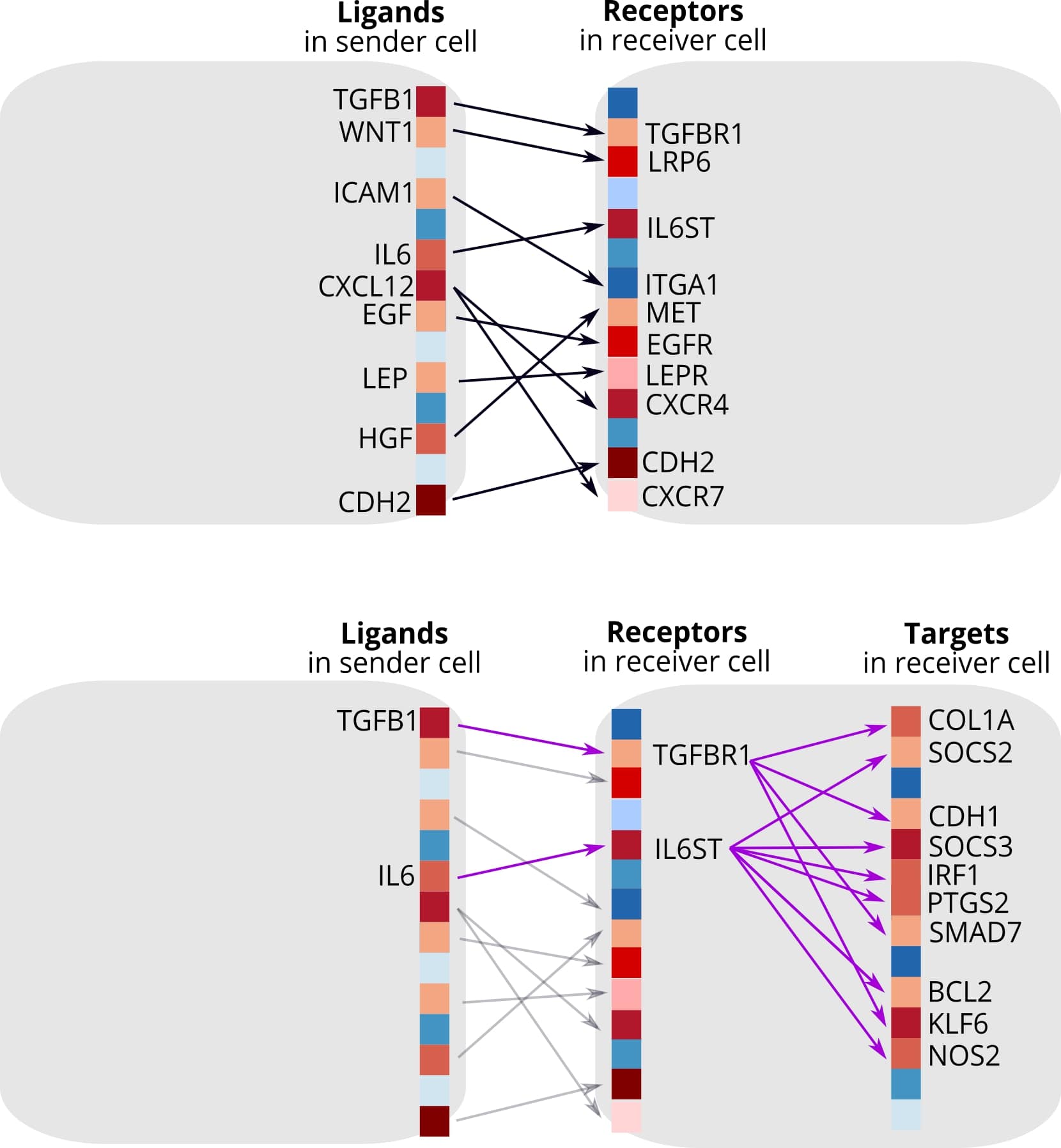 Conceptual comparison of NicheNet with traditional approaches