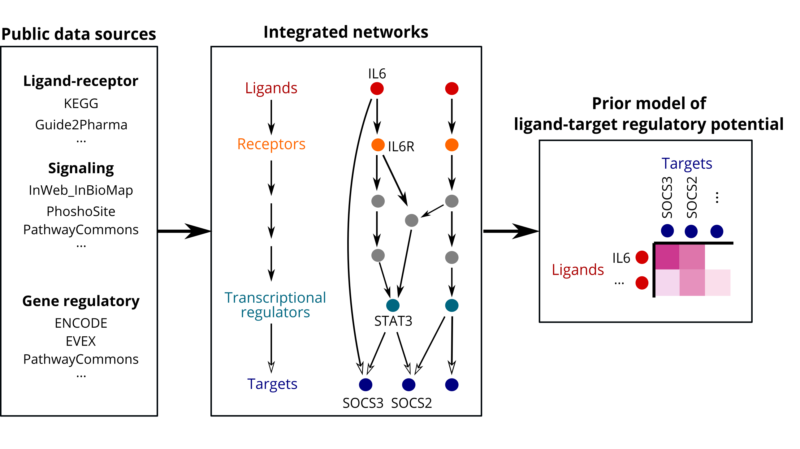 NicheNet prior model architecture