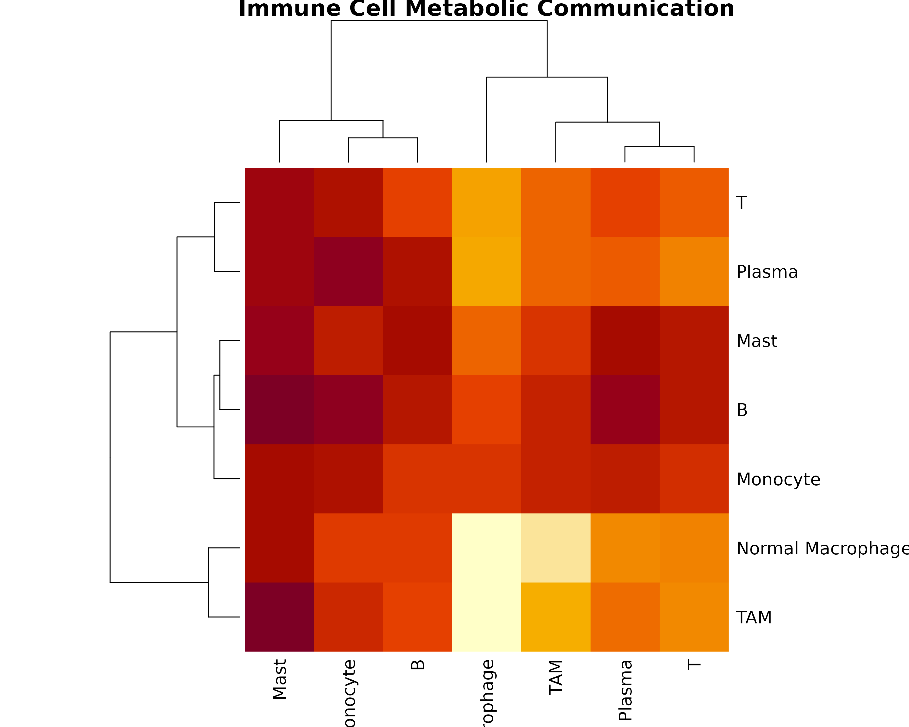 **Figure 3: Immune Cell Communication Network.** Heatmap showing metabolite-mediated communication strength between immune cell types. T cells, macrophages, and B cells often form key communication hubs.