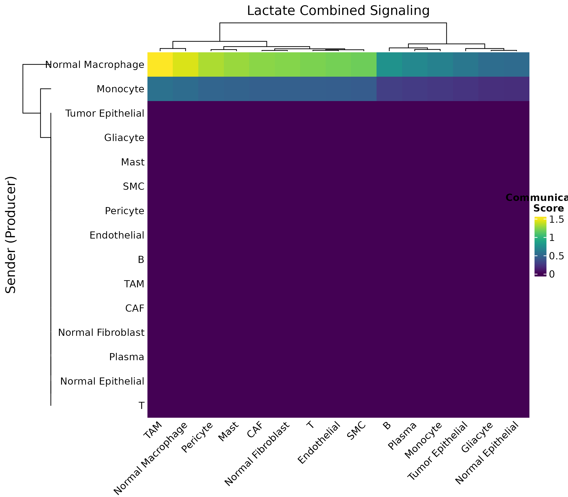 **Figure 5: Lactate Communication Heatmap.** Communication strength from sender (rows) to receiver (columns) cell types via lactate signaling.