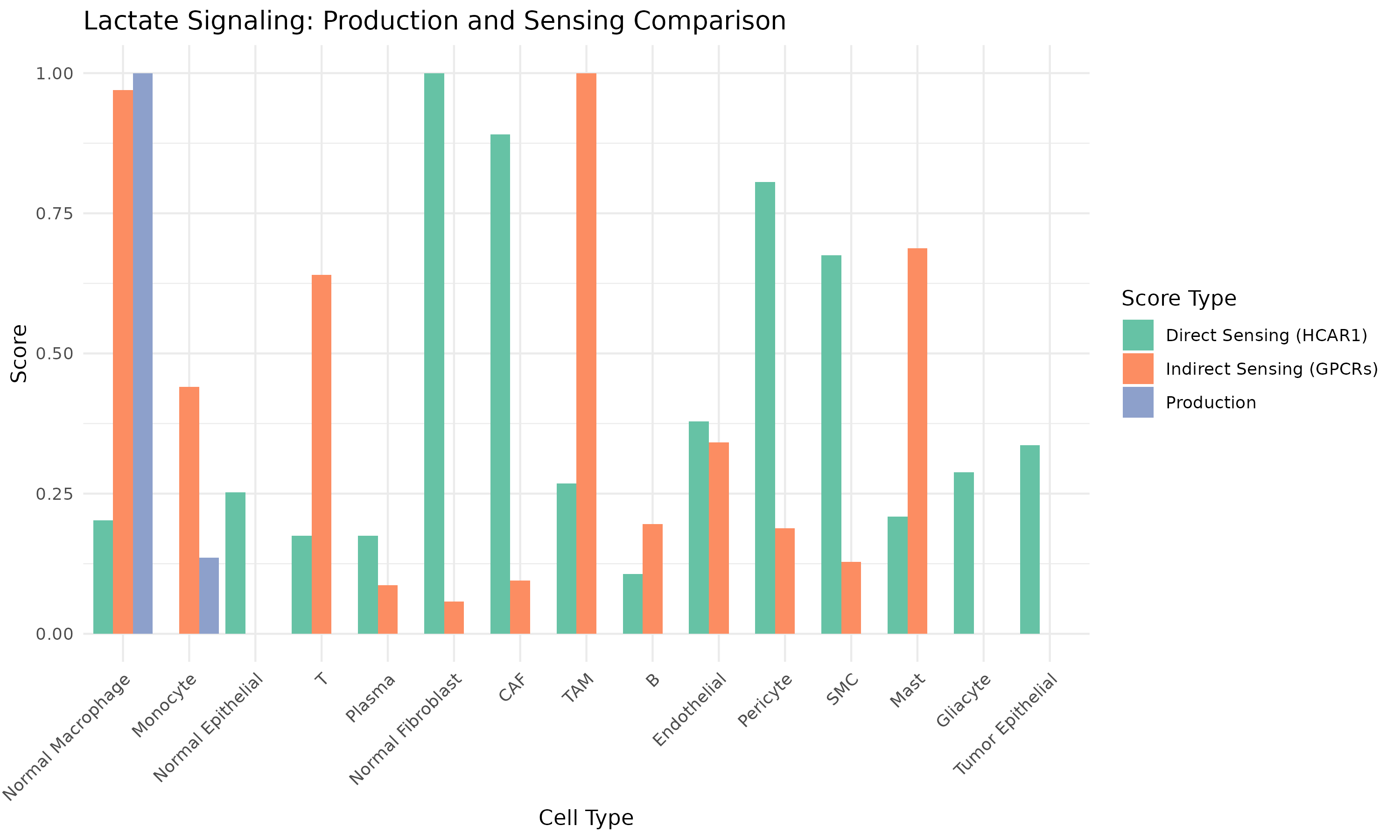 **Figure 6: Production vs Sensing Comparison.** Cell types positioned by their lactate production (orange) and sensing (blue) capabilities.