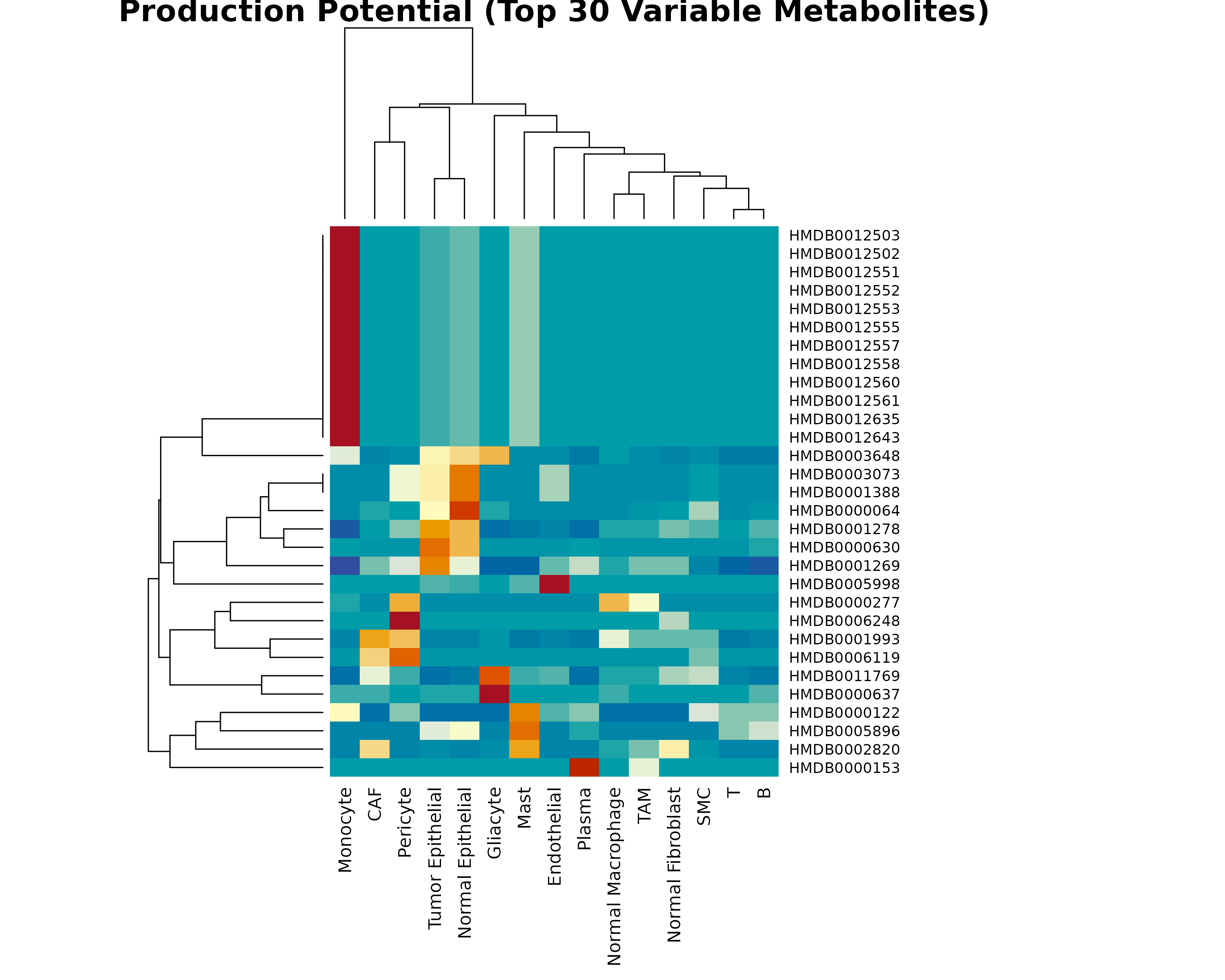 **Figure 2: Production Potential Heatmap.** Top 30 metabolites with highest variance across cell types. Row-scaled values show relative production potential. Clustering reveals cell types with similar metabolic production profiles.