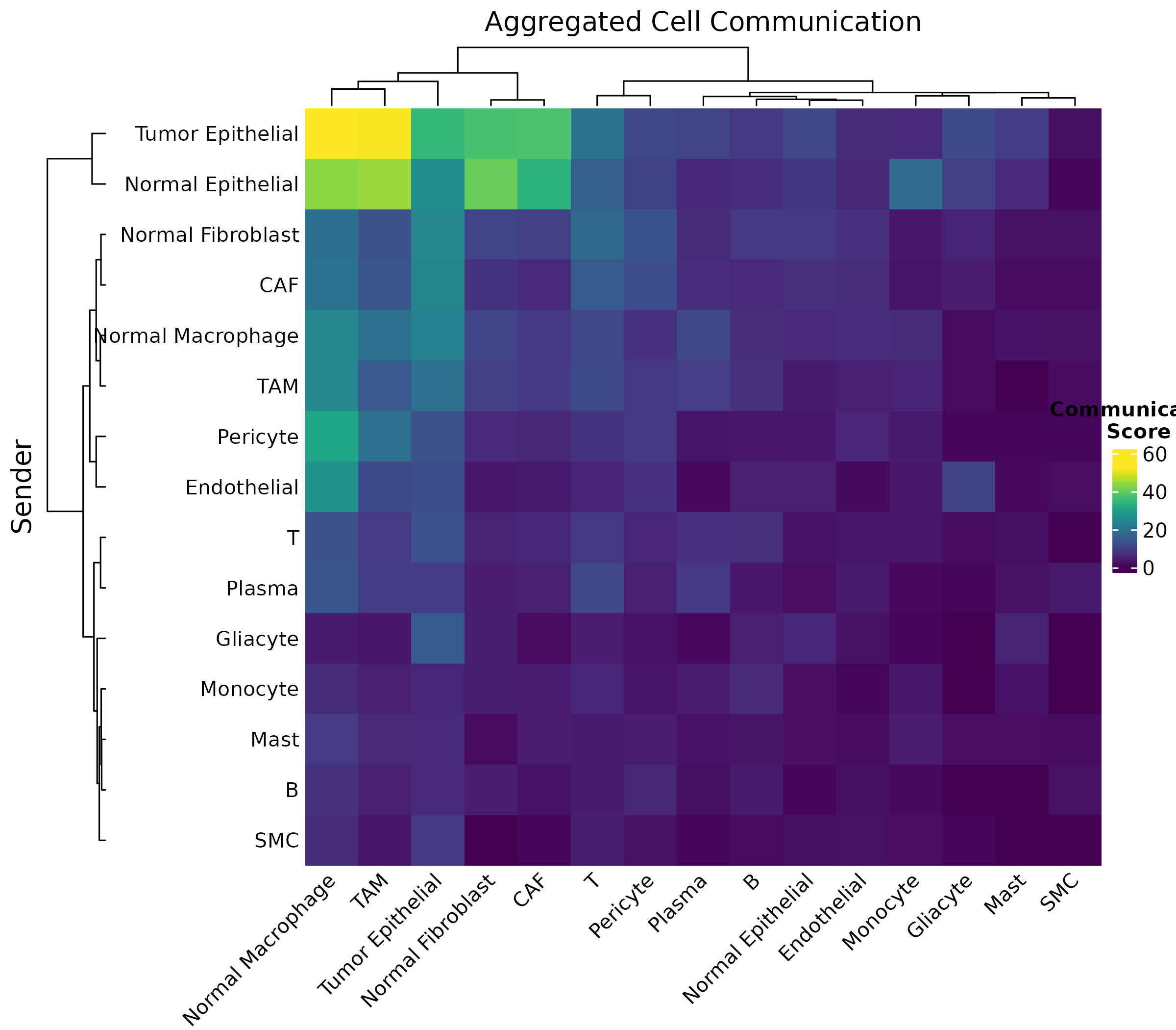 **Figure 1: Communication Heatmap.** Each cell shows the total communication score from sender (rows) to receiver (columns) cell types. Darker colors indicate stronger communication.