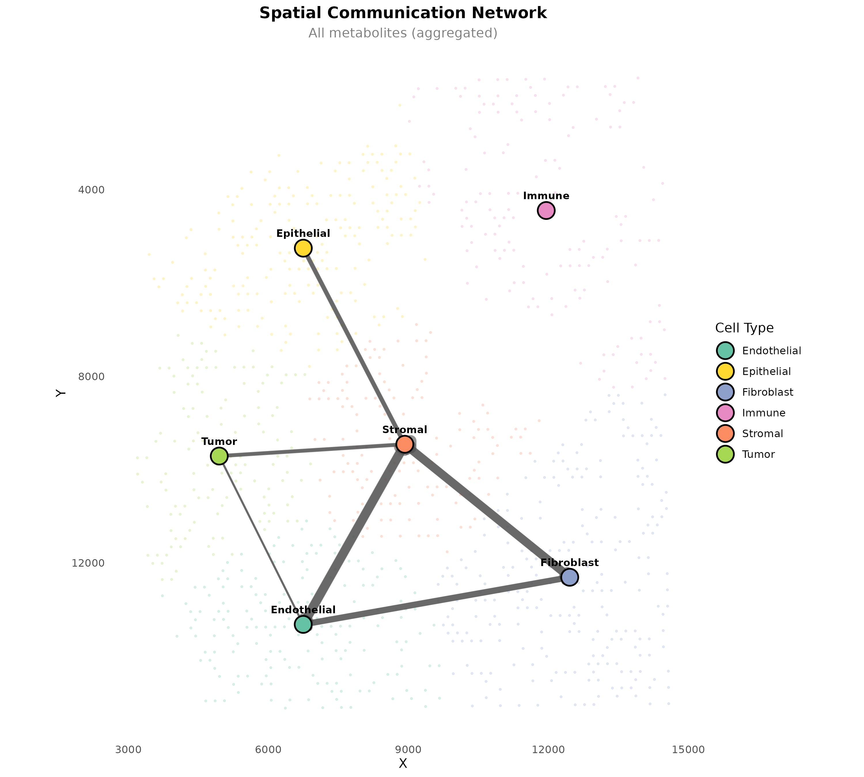 **Figure 8: Spatial Communication Network.** Arrows connect cell type centroids, with width proportional to communication strength. Background spots show the tissue context.