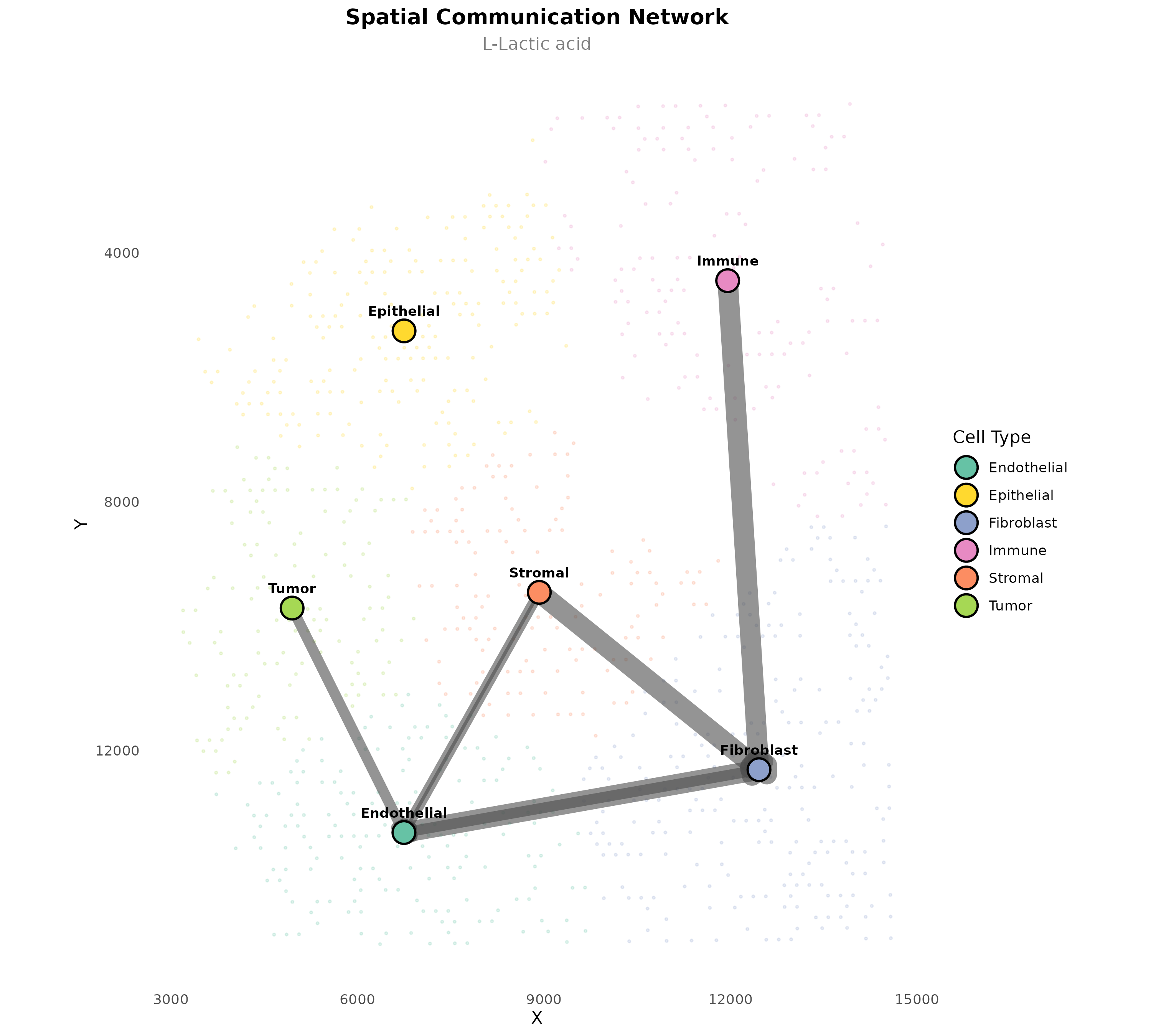 **Figure 9: Lactate Communication Network.** Spatial communication pattern for lactate specifically, showing which cell types communicate via this metabolite.