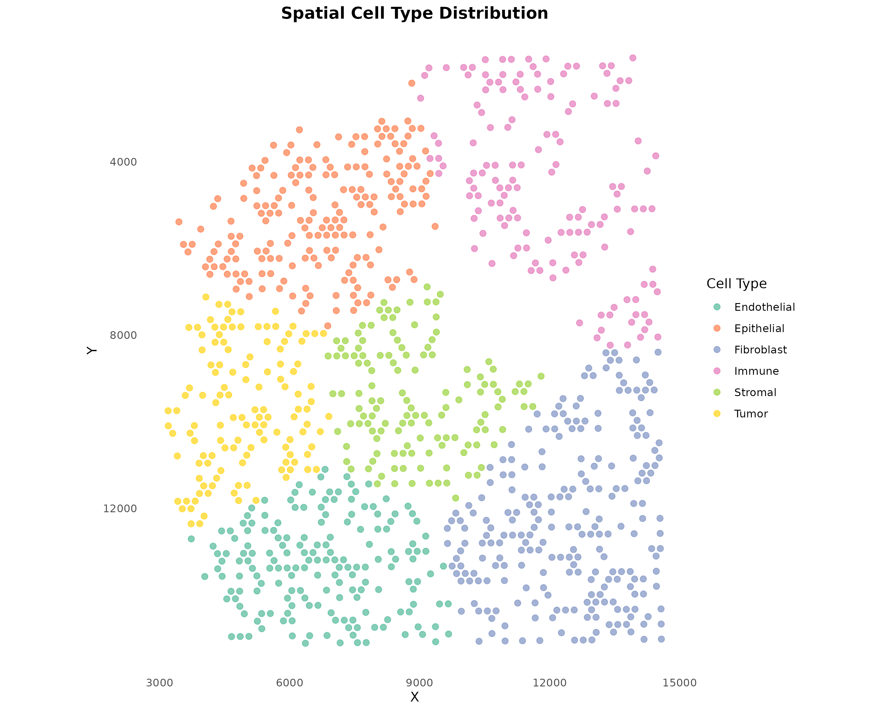 **Figure 3: Spatial Cell Type Distribution.** Each spot is colored by its assigned cell type. For Visium data, cell types typically come from deconvolution methods (RCTD, cell2location, etc.).