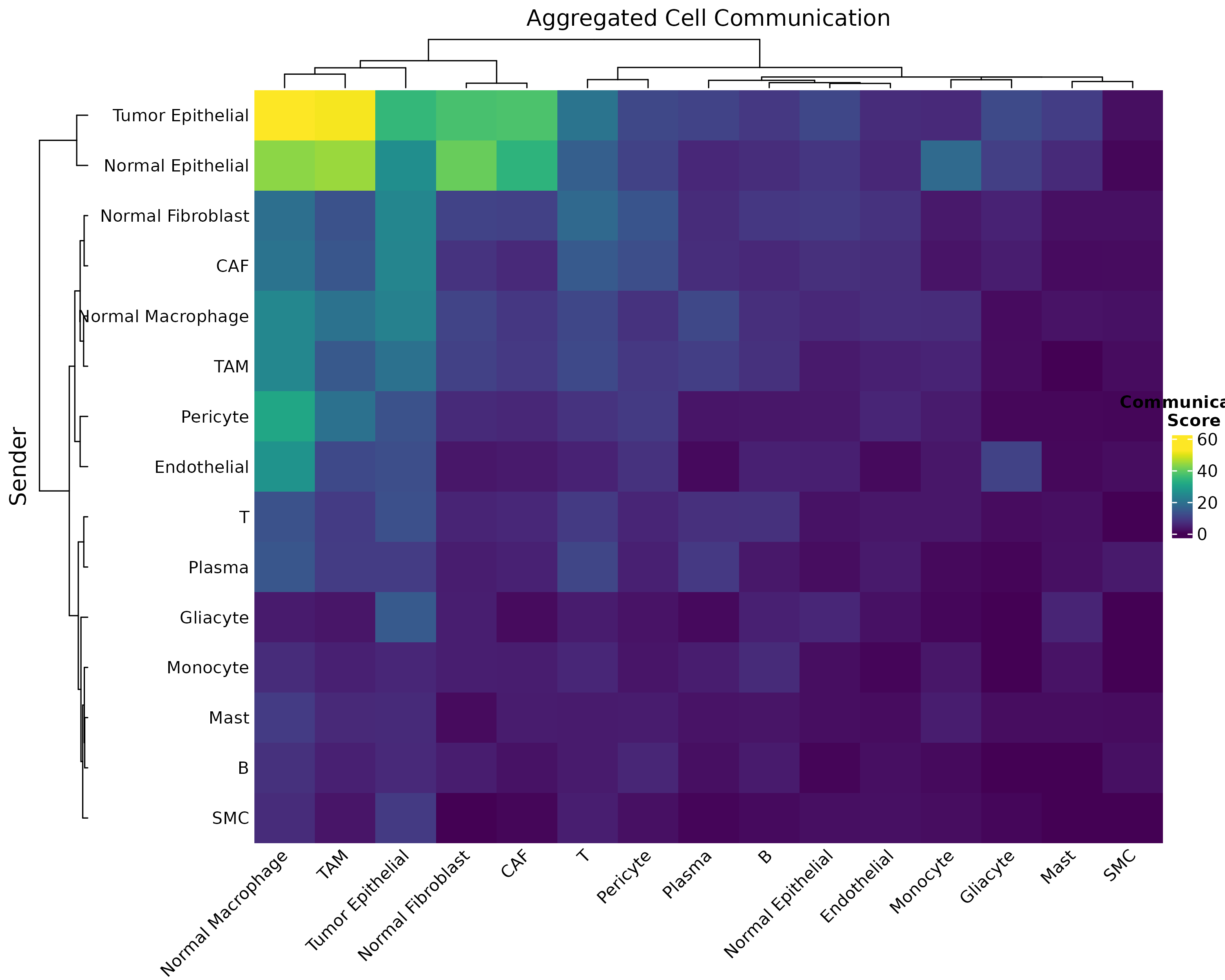 **Figure 2: Customized Heatmap with Clustering.** Hierarchical clustering reveals cell type groups with similar communication patterns.