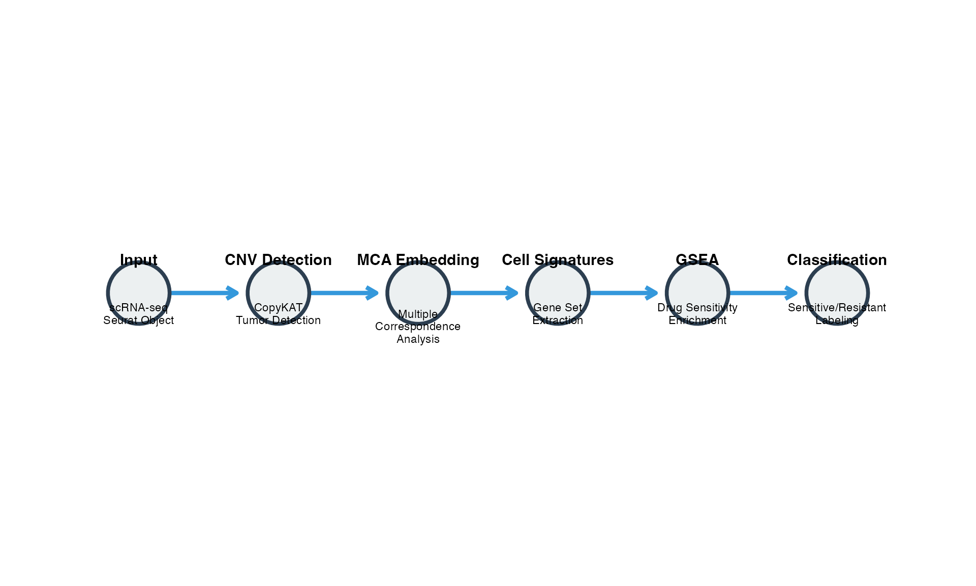 scPharm analytical workflow