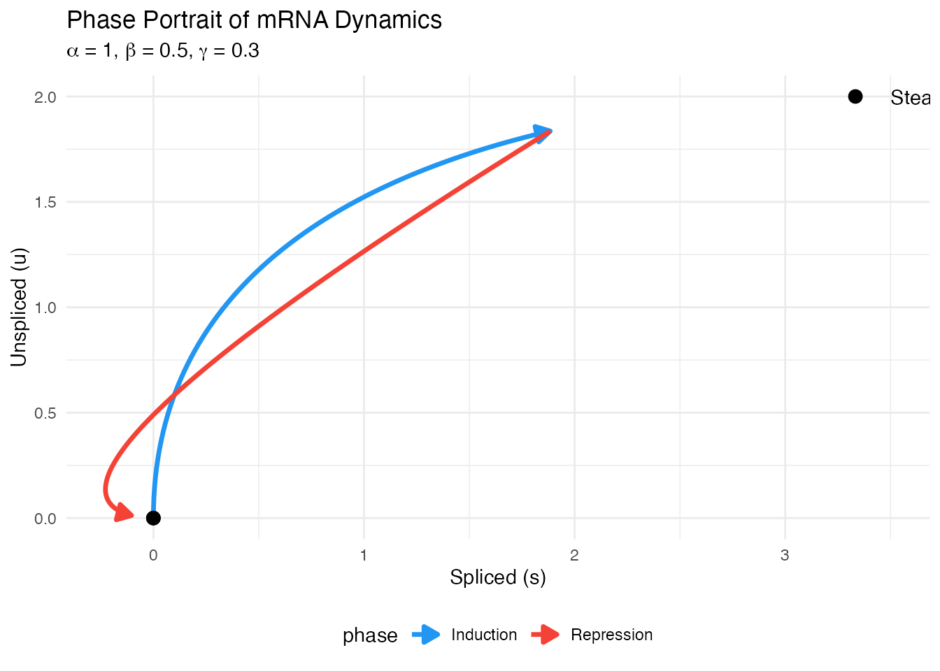 Phase portrait showing the trajectory of gene expression during induction (blue) and repression (red) phases.