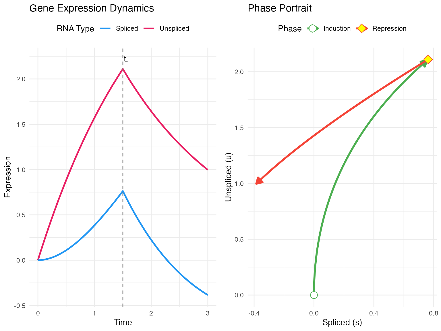 Gene expression trajectory showing induction and repression phases.